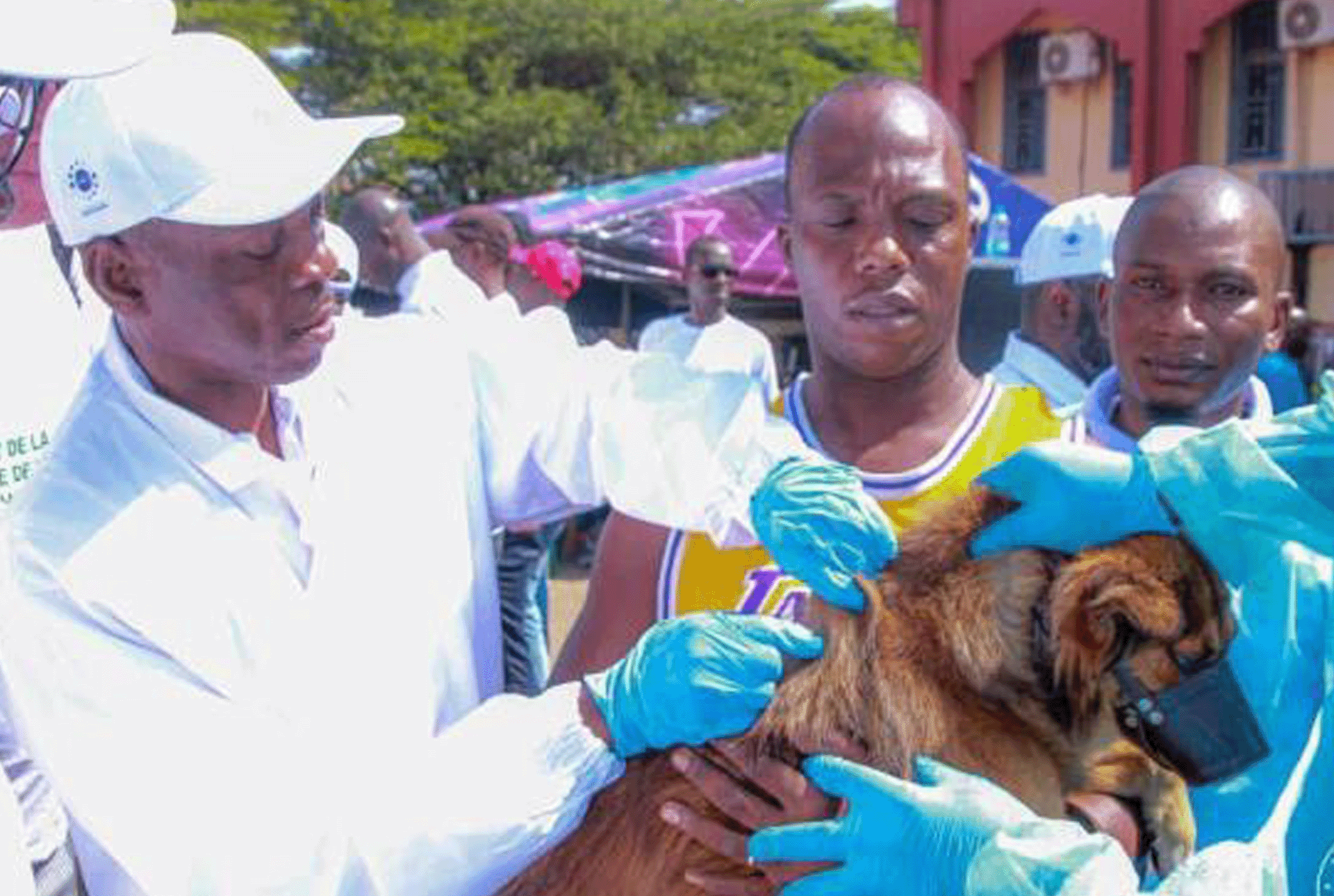 Guinea-takes-major-step-towards-ending-rabies-3 Guinea takes a major step towards ending rabies