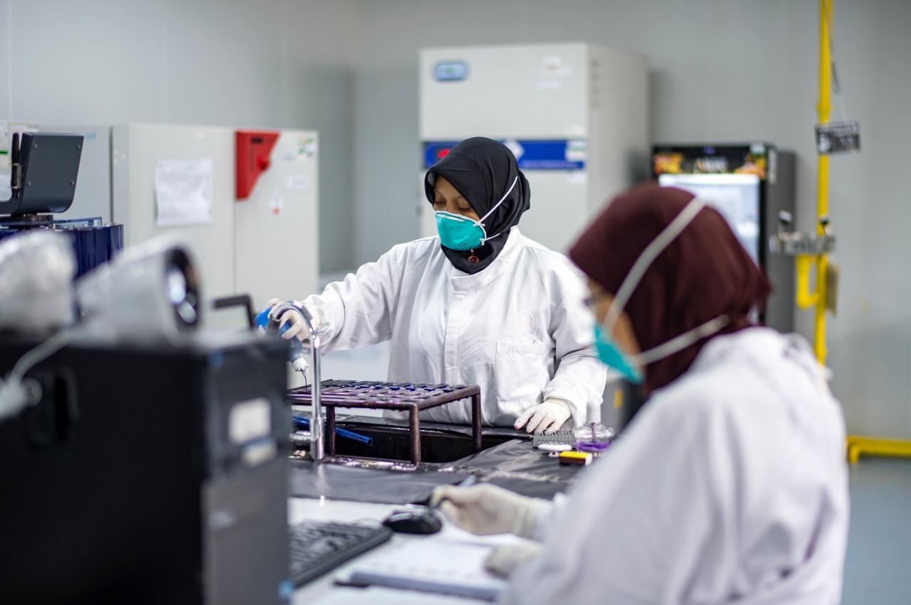 Staff work in a laboratory