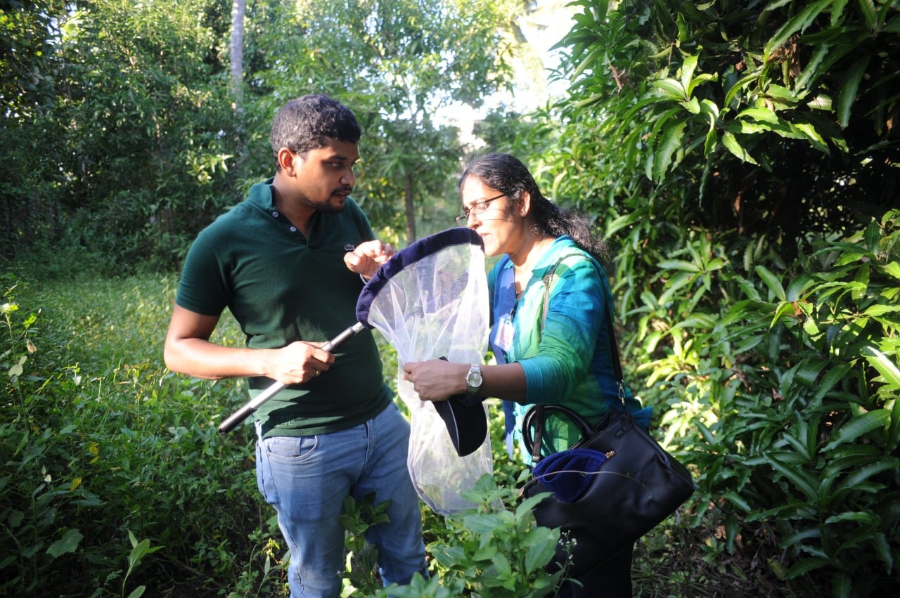Participants practicing adult mosquito collection