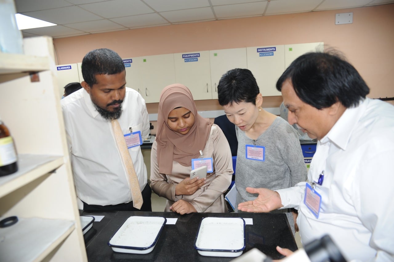 Participants observing different behaviors of mosquito larva by species